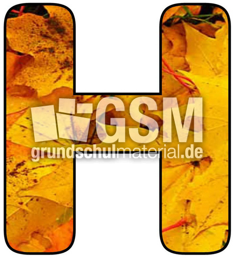 Herbstbuchstabe-2-H.jpg